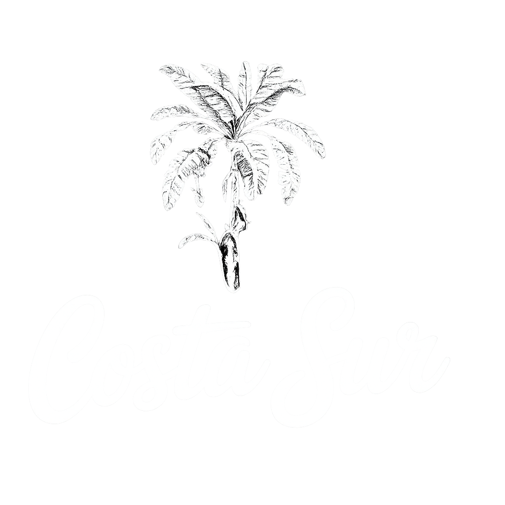 Costa Sur